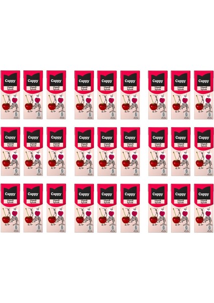 Bahçe Vişneli Içecek 200 ml x 27 Adet