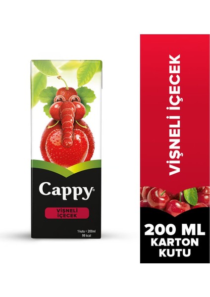 Bahçe Vişneli Içecek 200 ml x 27 Adet