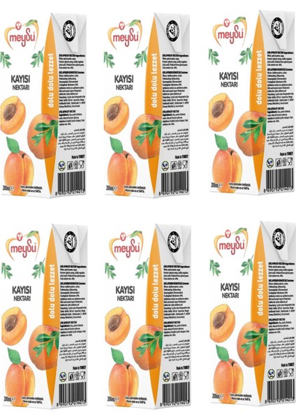 Kayısı Nektarı 200 ml x 6 Adet