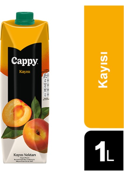 Bahçe Kayısı Nektarı 1 lt