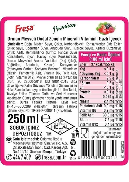 Premium Orman Meyveli Vitaminli Maden Suyu 250 ml x 6 Adet fırsatları