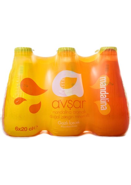 C Vitaminli Mandalina Aromalı Maden Suyu 200 ml x 6 Adet