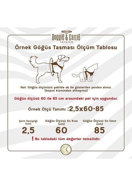 Havalı Dokuma Kedi Göğüs ve Gezdirme Takımı Large Kırmızı 1.5x30-40 Cm