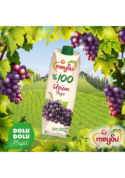 Üzüm Suyu 1 lt