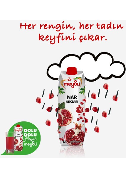 Nar Nektarı 1 lt x 6 Adet