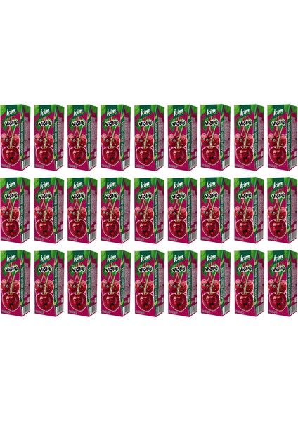 Vişne Aromalı Meyve Suyu 200 ml x 27 Adet