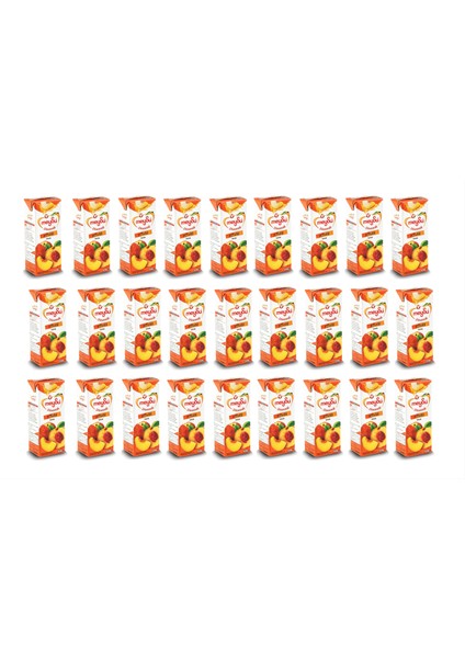Dinamik Şeftali Meyve Suyu 200 ml x 27 Adet