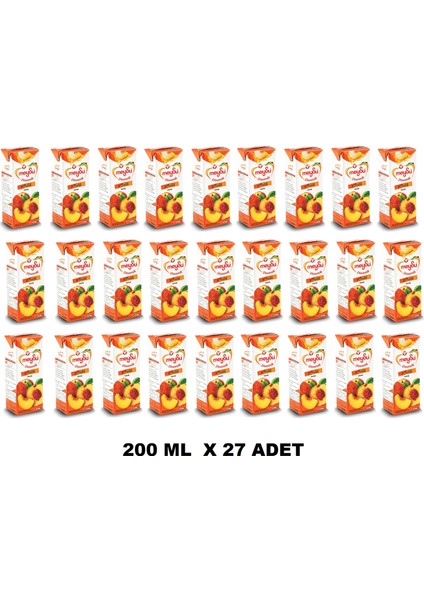 Dinamik Şeftali Meyve Suyu 200 ml x 27 Adet