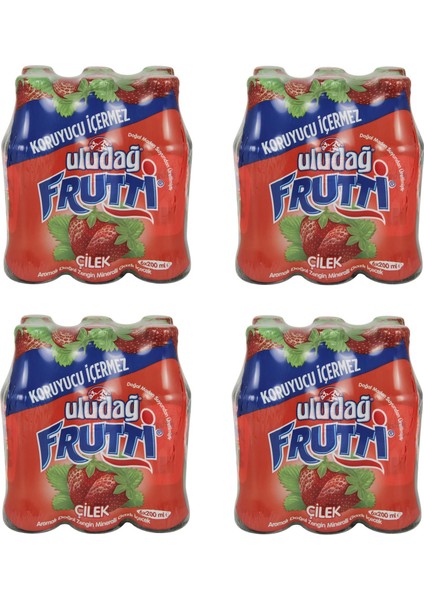 Frutti Çilek Aromalı Maden Suyu 200 ml x 24 Adet