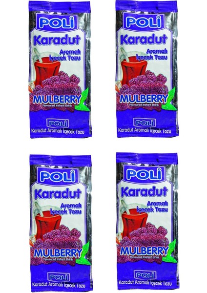 Toz Içecek Karadut 300 gr x 4 Adet