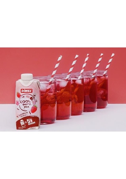 Cool Berry Mix 310 ml