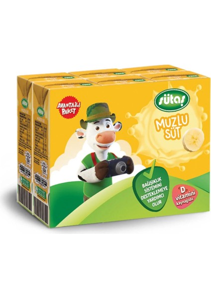 Muzlu Süt 180 ml x 6 Adet