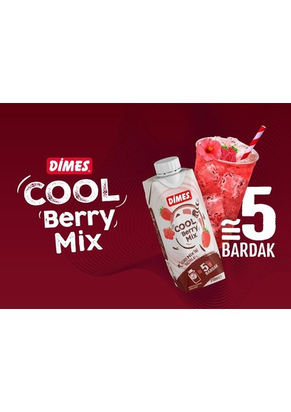 Cool Beryy Mix 310 ml x 24 Adet