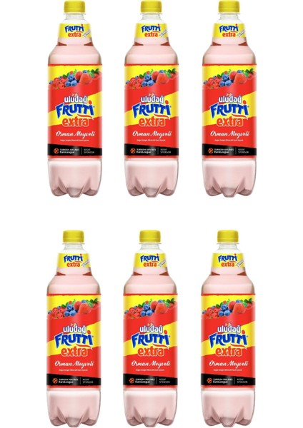Frutti Extra Orman Meyveli 1 lt x 6 Adet