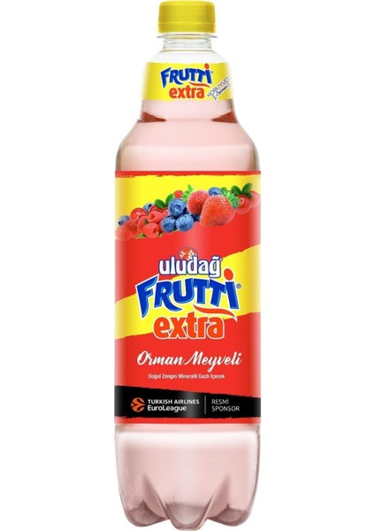 Frutti Extra Orman Meyveli 1 lt x 6 Adet