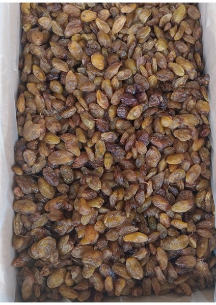 Toptan Lüks Besni Üzüm 10 kg