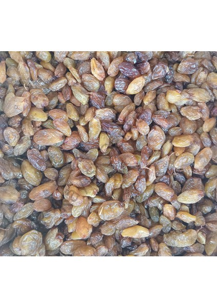 Toptan Lüks Besni Üzüm 10 kg fiyatları