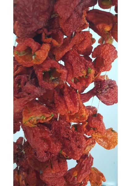 Toptan Dolmalık Biber Kurusu -10- Bağ fiyatları