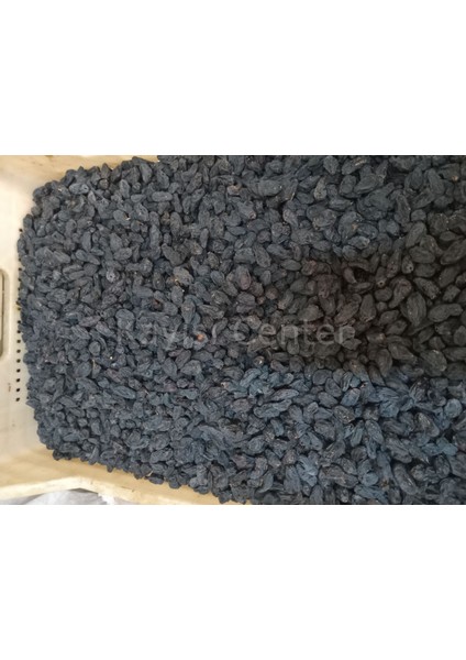 Toptan Çekirdeksiz Özbek Üzüm 10 kg