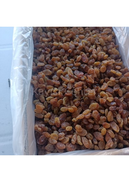 Toptan Izmir Çekirdeksiz Üzüm 10 kg
