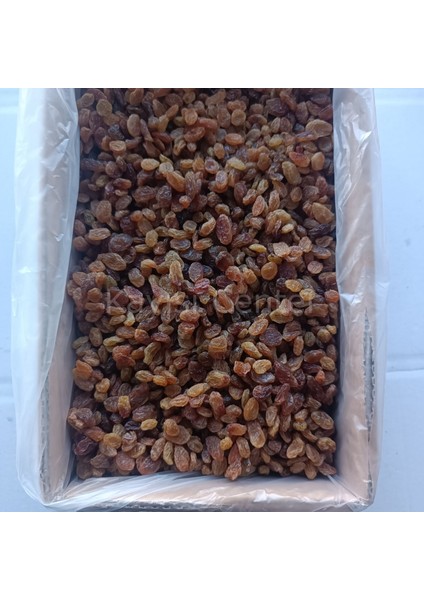 Toptan Izmir Çekirdeksiz Üzüm 10 kg modelleri