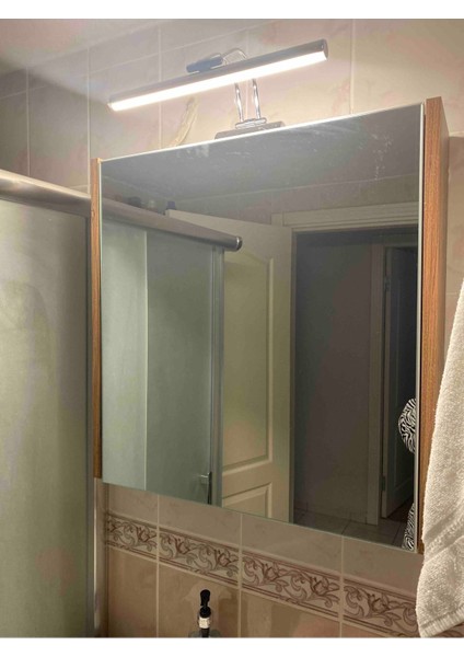 50 cm Krom Kasa Sarı Işık Pilli Değildir Elektrikli Banyo Ayna Tablo Aydınlatma Flüt Kuğu LED Aplik modelleri