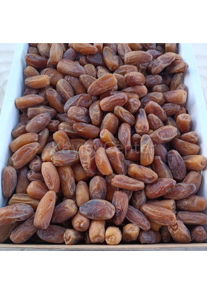 Toptan Lüks Tunus Hurma 10 kg