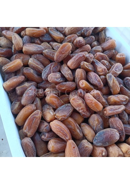 Toptan Lüks Tunus Hurma 10 kg