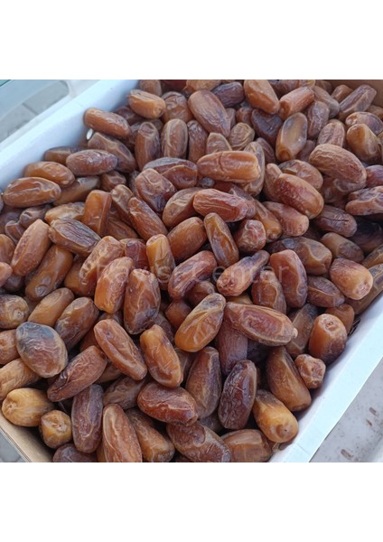 Toptan Lüks Tunus Hurma 10 kg