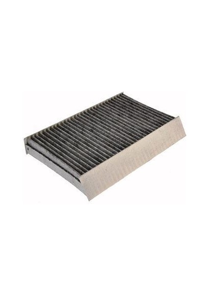Renault-Mais-Orjinal 272778970R Polen Filtresi Megane Iıı Scenic Iıı 272773488R