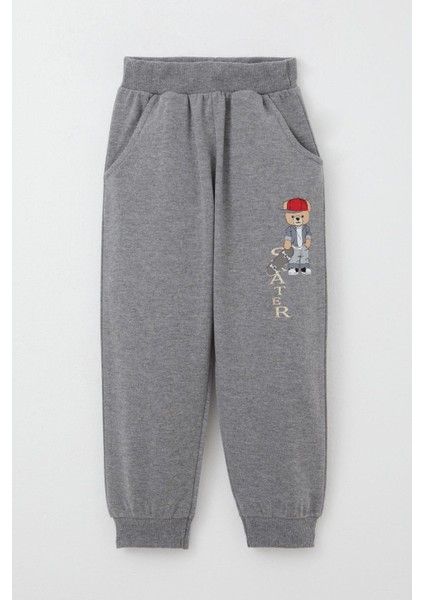 Erkek Çocuk Eşofman Takım Kaykaycı Sevimli Ayıcık Baskılı 1-4 Yaş, Mint Yeşili modelleri