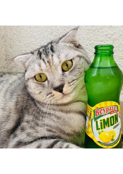 Limon Aromalı Maden Suyu 200 ml x 24 Adet