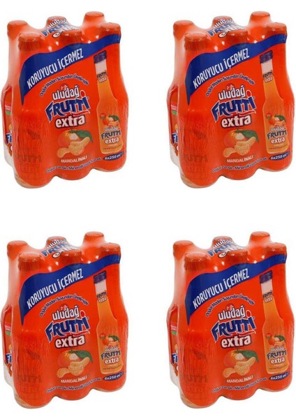 Frutti Extra Mandalinalı 250 ml x 24 Adet