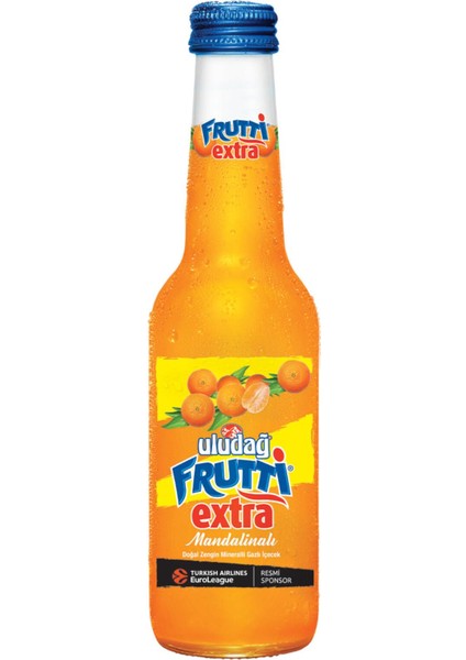 Frutti Extra Mandalinalı 250 ml x 24 Adet