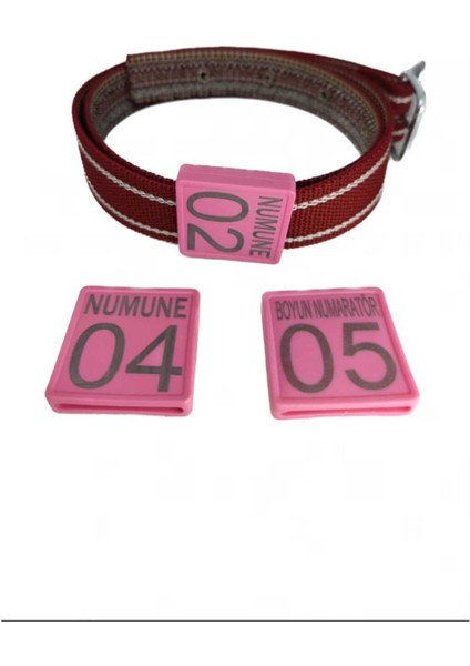 10 Adet Pembe Renk Büyükbaş Hayvan Boyunluk Kemer Ve Numaratör Takımı (Kemer Numaratör) fiyatları