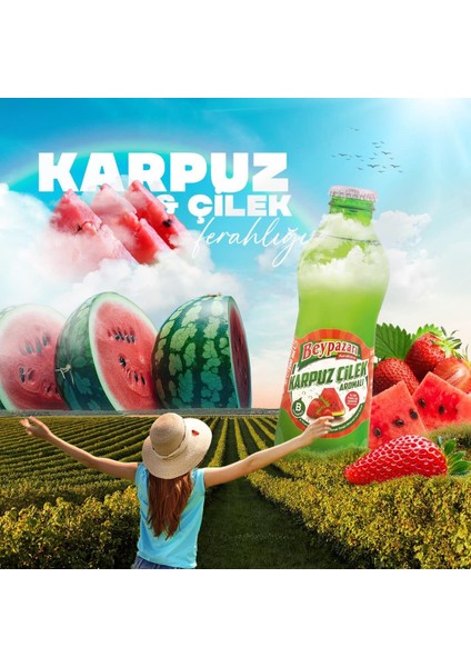 Karpuz Çilek Aromalı Maden Suyu 200 ml x 6 Adet