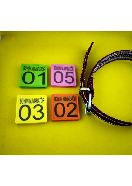 10 Adet Turuncu Renk Küçükbaş Hayvan Boyunluk Kemer ve Numaratör Takımı (Kemer+Numaratör)
