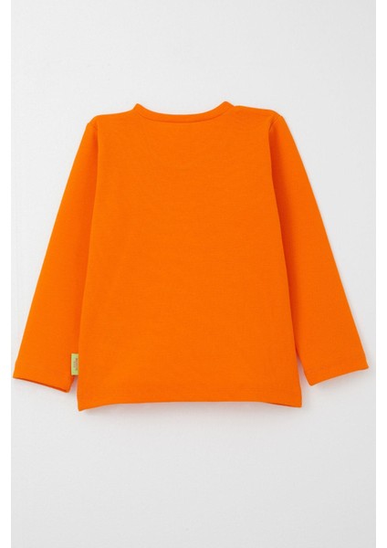 Kız Bebek Uzun Kollu Tişört Basic 9 Ay-3 Yaş, Turuncu fiyatları