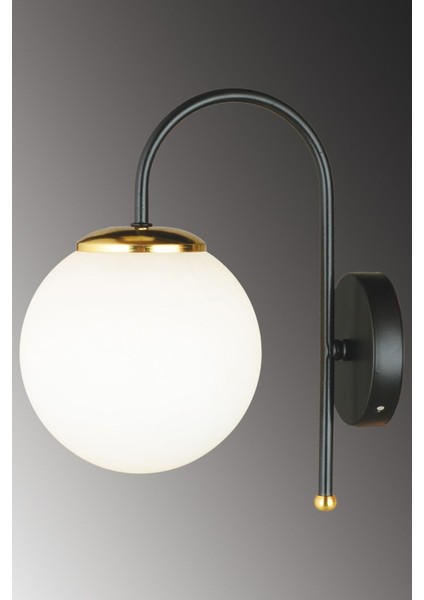 Siyah Baston Beyaz Glop Camlı Aşağı Bakan Modern Aplik fiyatları