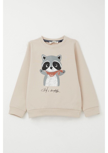 Erkek Çocuk Eşofman Takım Sevimli Rakun Baskılı 1.5-5 Yaş, Bej fiyatları