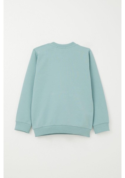 Erkek Bebek Eşofman Takım Kanguru Cepli Dost Ayıcıklar Baskılı 9 Ay-3 Yaş, Su Yeşili fırsatları