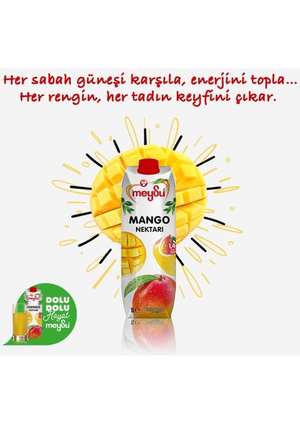 Mango Nektarı 1 lt
