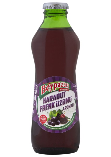 Karadut Frenk Üzümü Maden Suyu 200 ml x 24 Adet