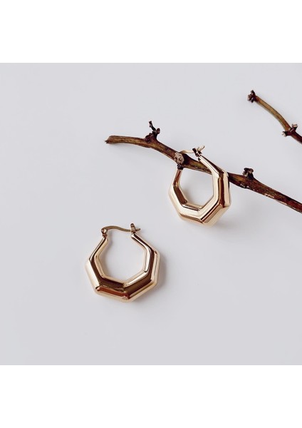 Pentagon Steel Earring | Çelik Küpe