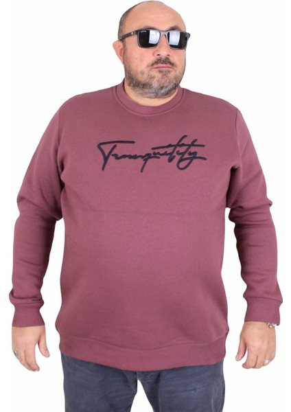 Mocgrande Erkek Büyük Beden Sıfır Yaka Sweat Twenty 24200 Eflatun