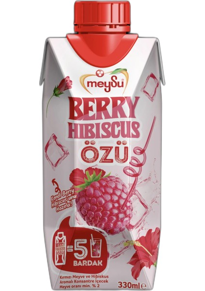 Berry Hıbıscus Özü 330 ml
