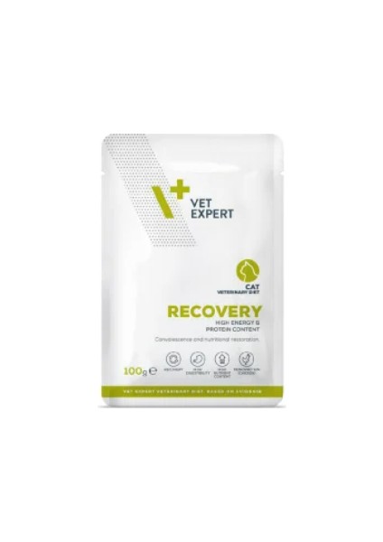 Recovery Yaş Kedi MAMASI100gr