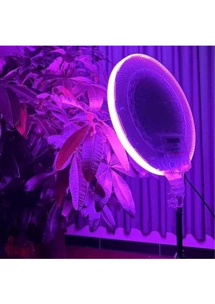 CS-2600 Rgb Ringlight 8 Inç LED Işık