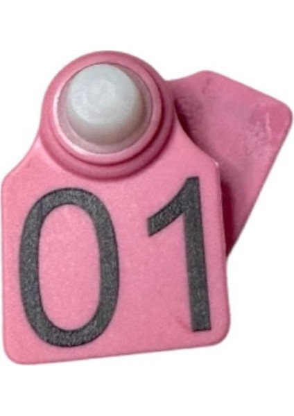 250 Adet Pembe Küçükbaş Hayvan Kulak Küpesi