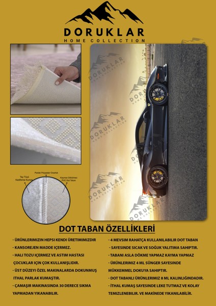 Kaymaz Taban Makinada Yıkanabilir Dijital Baskı Ferrari Desenli Genç Odası Halısı Dot Taban Halı fiyatları